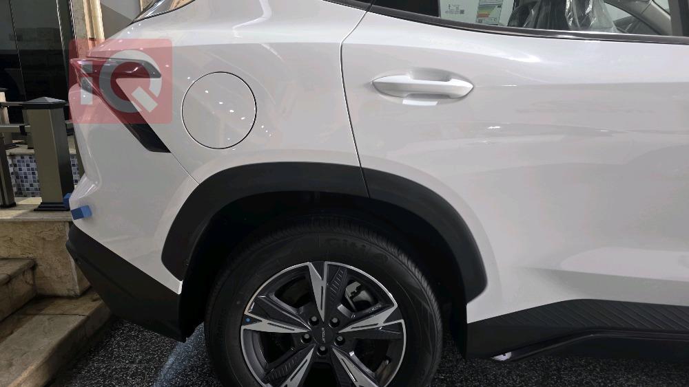 جيتور داشينج